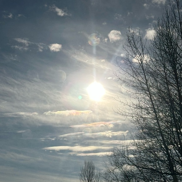 Meet your Posher, Wendy - Picture 1 of 10